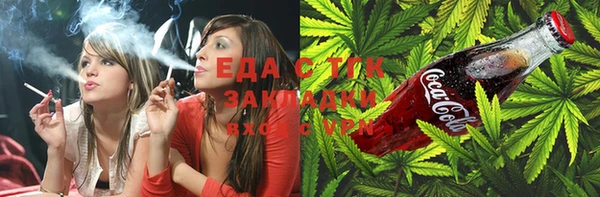 стаф Магас