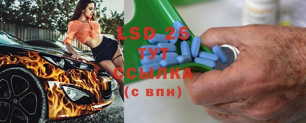 стаф Магас